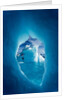 Iceberg, Antarctica by Anonymous