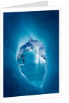 Iceberg, Antarctica by Anonymous