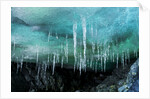 Icicles in Ice Cave, Cuverville Island, Antarctica by Anonymous
