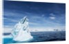 Iceberg, Gerlache Strait, Antarctica by Anonymous