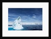 Iceberg, Gerlache Strait, Antarctica by Anonymous