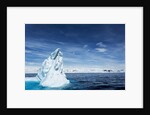 Iceberg, Gerlache Strait, Antarctica by Anonymous