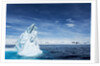 Iceberg, Gerlache Strait, Antarctica by Anonymous
