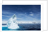 Iceberg, Gerlache Strait, Antarctica by Anonymous