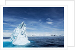 Iceberg, Gerlache Strait, Antarctica by Anonymous