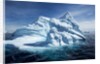 Iceberg, Gerlache Strait, Antarctica by Anonymous