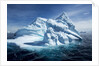 Iceberg, Gerlache Strait, Antarctica by Anonymous