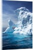 Iceberg, Gerlache Strait, Antarctica by Anonymous