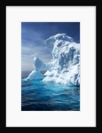 Iceberg, Gerlache Strait, Antarctica by Anonymous