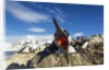 Blue-Eyed Shag, Antarctica by Anonymous
