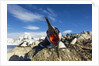 Blue-Eyed Shag, Antarctica by Anonymous