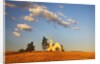 Rocklyn Community Church with Club Wheat at Harvest by Anonymous