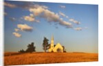 Rocklyn Community Church with Club Wheat at Harvest by Anonymous