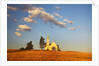 Rocklyn Community Church with Club Wheat at Harvest by Anonymous