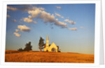 Rocklyn Community Church with Club Wheat at Harvest by Anonymous