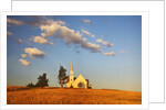Rocklyn Community Church with Club Wheat at Harvest by Anonymous