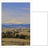 Cherry Orchards of the Oregon Columbia Gorge With Mt. Hood in the Back Drop by Anonymous
