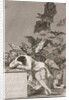 The sleep of reason produces monsters (No. 43), from Los Caprichos by Francisco Goya