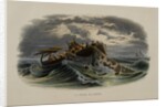 Herring Fishing by Anonymous