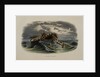 Herring Fishing by Anonymous