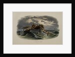 Herring Fishing by Anonymous