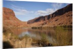 Colorado River, Utah, USA by Anonymous