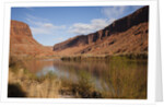 Colorado River, Utah, USA by Anonymous