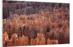 Bryce Canyon National Park, Utah. USA by Anonymous