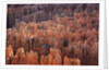 Bryce Canyon National Park, Utah. USA by Anonymous