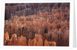 Bryce Canyon National Park, Utah. USA by Anonymous