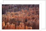 Bryce Canyon National Park, Utah. USA by Anonymous