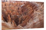 Bryce Canyon National Park, Utah. USA by Anonymous
