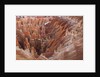 Bryce Canyon National Park, Utah. USA by Anonymous