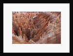 Bryce Canyon National Park, Utah. USA by Anonymous