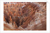 Bryce Canyon National Park, Utah. USA by Anonymous
