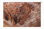Bryce Canyon National Park, Utah. USA by Anonymous