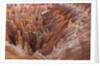Bryce Canyon National Park, Utah. USA by Anonymous