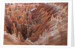 Bryce Canyon National Park, Utah. USA by Anonymous