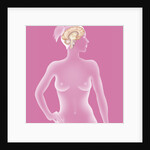 Brain, drawing by Anonymous