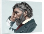 Thomas Carlyle (1795-1881) by Anonymous