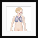Respiratory tract, drawing by Anonymous