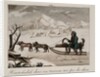 A sled in Siberia by Anonymous