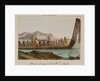 War canoe of New Zealand by Anonymous