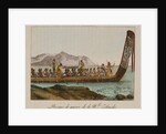 War canoe of New Zealand by Anonymous