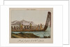 War canoe of New Zealand by Anonymous