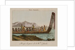 War canoe of New Zealand by Anonymous