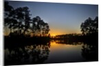 Sunset in Long Pine area of Everglades NP by Anonymous