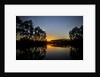 Sunset in Long Pine area of Everglades NP by Anonymous