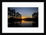 Sunset in Long Pine area of Everglades NP by Anonymous