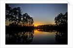Sunset in Long Pine area of Everglades NP by Anonymous